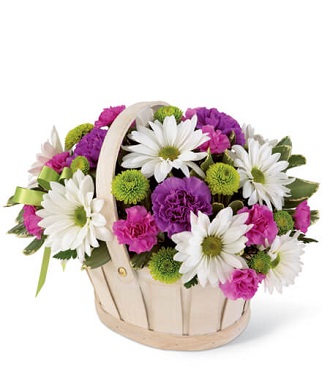 Send Seasonal Flowers