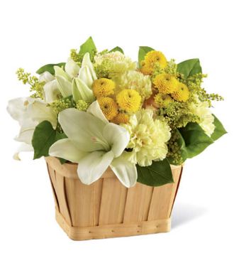 Get Well Flowers And Gift Baskets