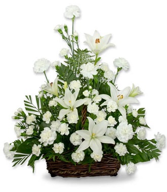 Funeral Lily