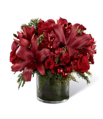 Christmas Wish Red Poinsettia