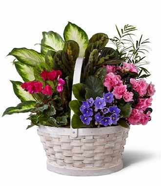Funeral Flowers To Order Online